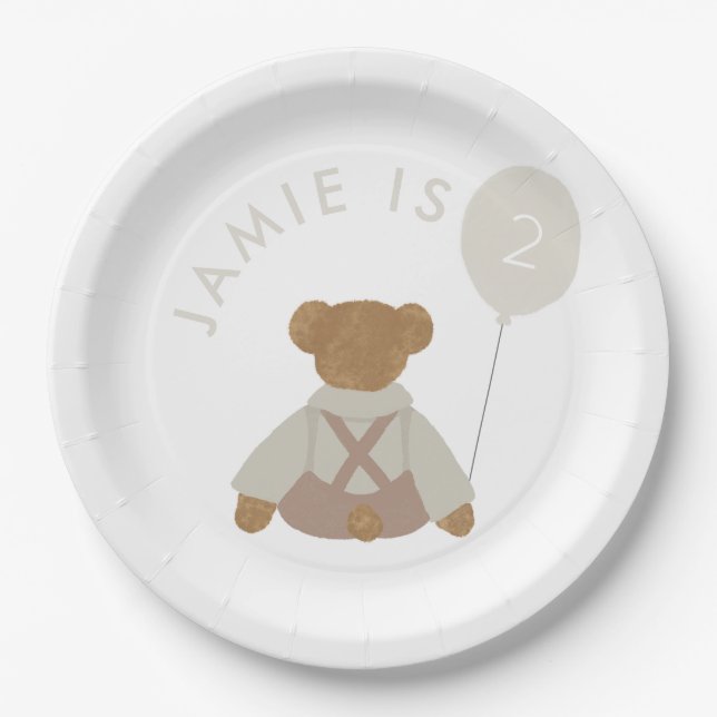 Teddy Bear Picnic Baby Birthday Paper Plates (Front)