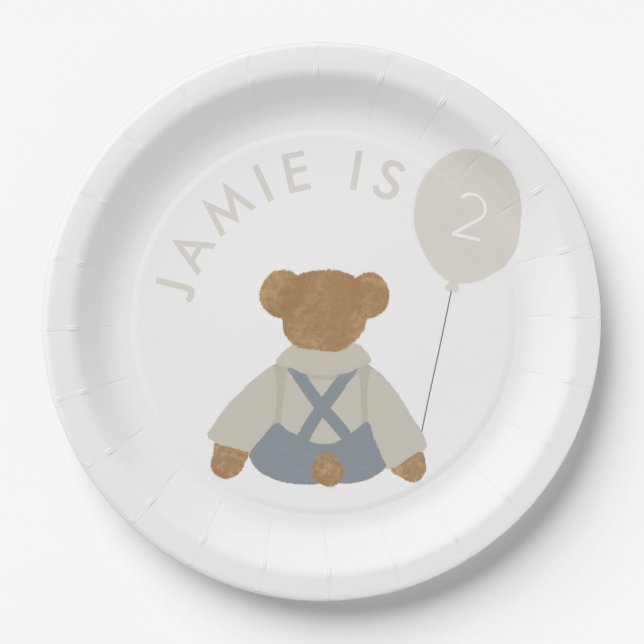Teddy Bear Picnic Baby Birthday Paper Plates (Front)