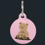 Teddy Bear Pink Personalized Pet ID Tag<br><div class="desc">Pretty soft pink background holds the cutest teddy bear... sitting on  log. He/She looks lost doesn't he/she? But with all your personalized information on the back,  he'll be found in no time! Don't forget to personalize with your pet's name on the tummy,  too!</div>