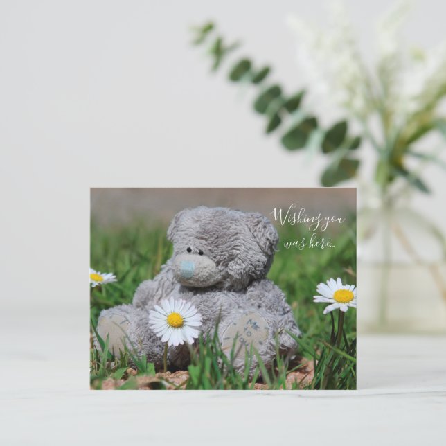 Teddy Bear Postcard | Zazzle