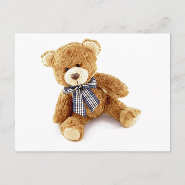 Teddy Bear Postcard (Front)