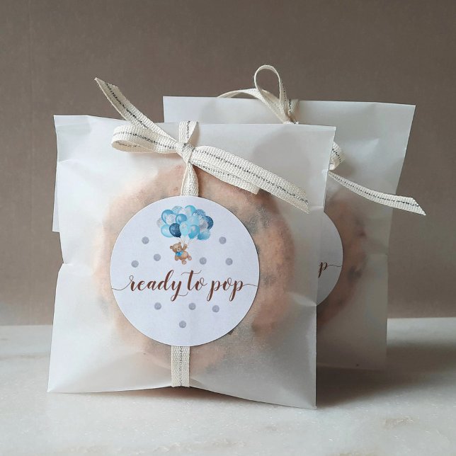 Teddy Bear Ready to Pop Favor Classic Round Sticker (Creator Uploaded)