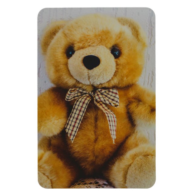 Teddy bear stuffed toy magnet (Vertical)