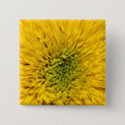 Teddy Bear Sunflower  Button