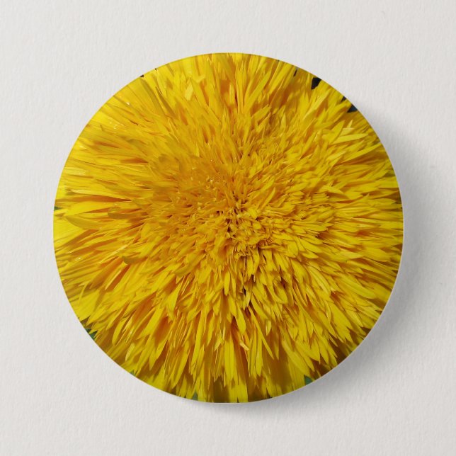 Teddy Bear Sunflower Button (Front)