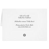 Teddy Bear Sunflower Cards (Back Horizontal)