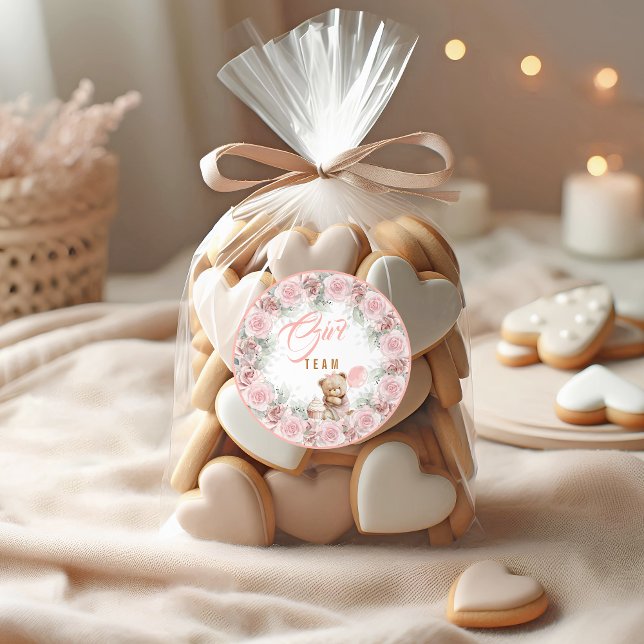Teddy Bear Team Girl Gender Reveal Sticker (Creator Uploaded)