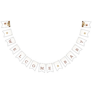 Teddy Bear Welcome Baby Shower bunting banner