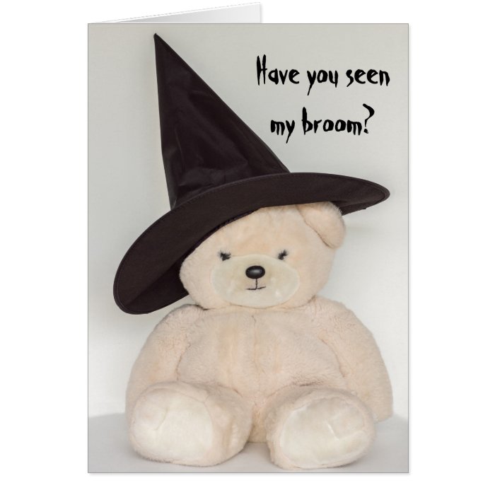 witch teddy bear