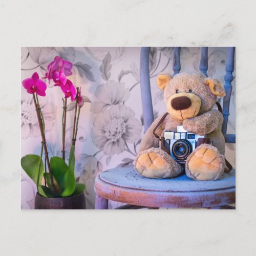 Teddy bear with camera postcard