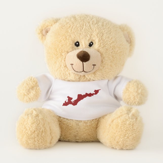Teddy Bear with Fishers Island T-Shirt – Red (Front)