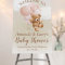 Teddy Bear with Pink Balloons Welcome Sign