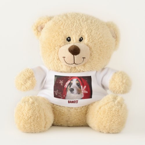 TEDDY BEAR with t_shirt personalized for dog lover