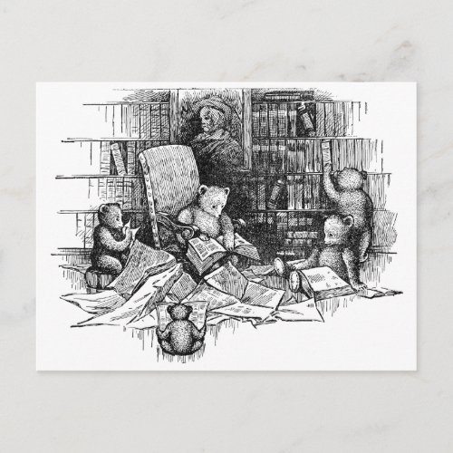 Teddy Bears Reading in the Library Postcard