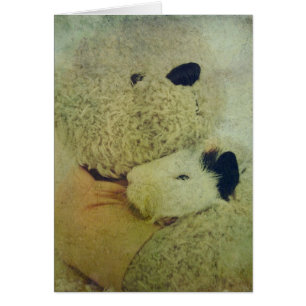 Teddy Hugs A Guinea Pig Cards