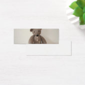 Teddy Joe Profile Card (Desk)