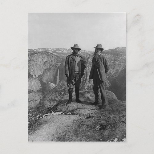 Teddy Roosevelt and John Muir  in Yosemite Postcard