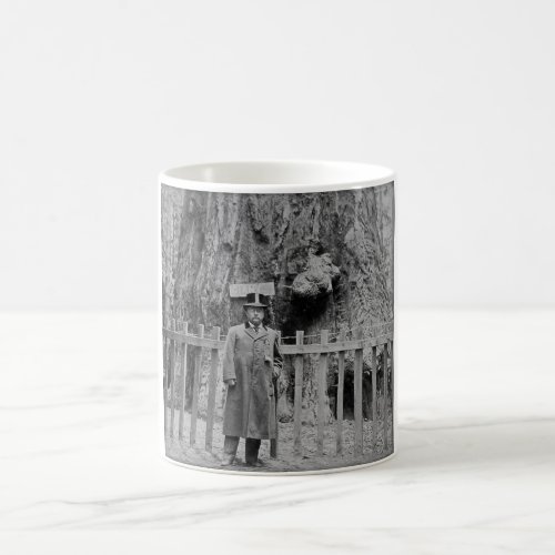 Teddy Roosevelt at the Big Tree Grove Santa Cruz Coffee Mug