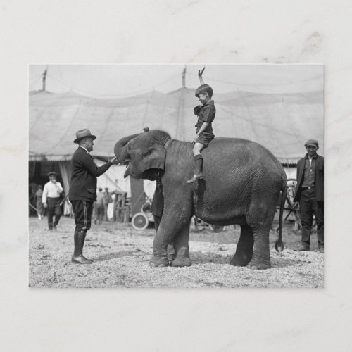 Teddy Roosevelt at the Circus 1924 Postcard