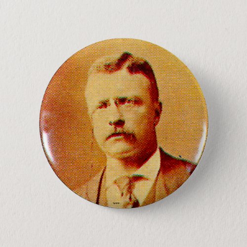 Teddy Roosevelt _ Button