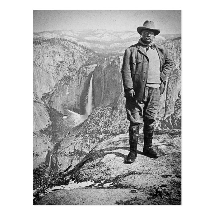 Teddy Roosevelt Glacier Point Yosemite Valley CA Post Cards