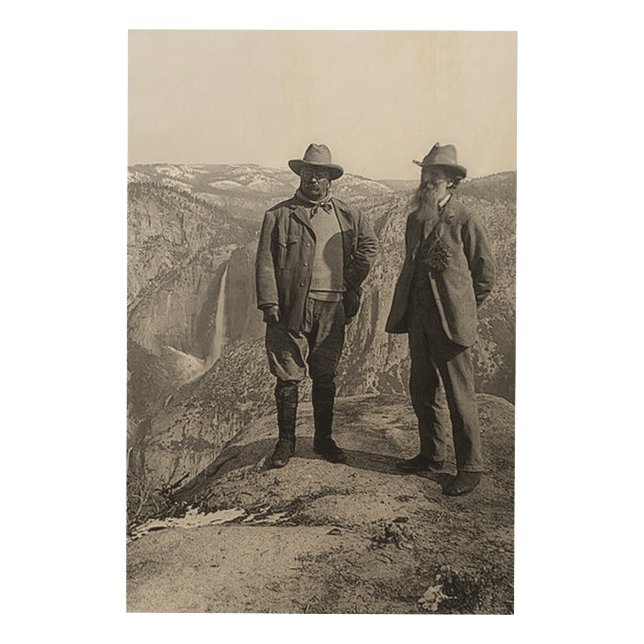 Teddy Roosevelt John Muir Glacier Point Yosemite Wood Wall Art (Front)