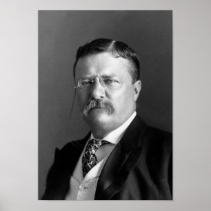 Teddy Roosevelt Portrait - 1904 Poster