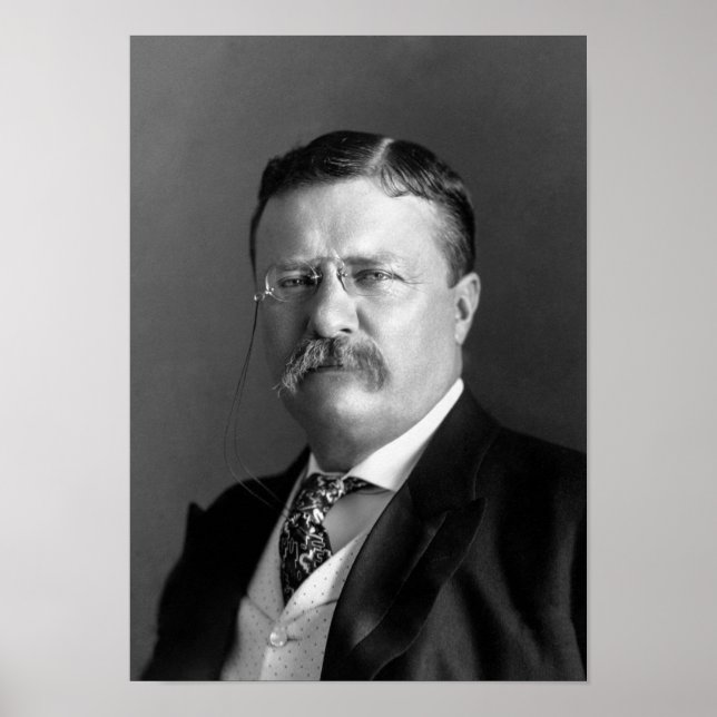 Teddy Roosevelt Portrait - 1904 Poster (Front)