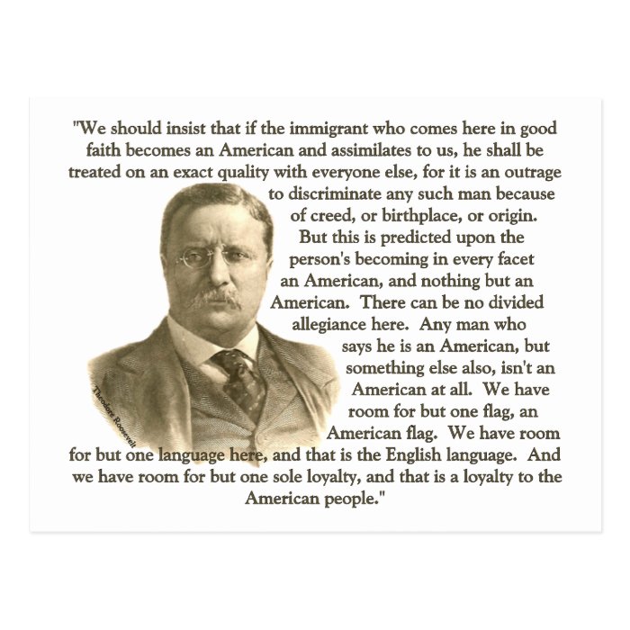 Teddy Roosevelt Quote Post Card