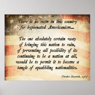 Teddy Roosevelt Quote Poster