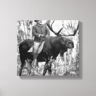 Teddy Roosevelt Riding A Bull Moose Canvas Print