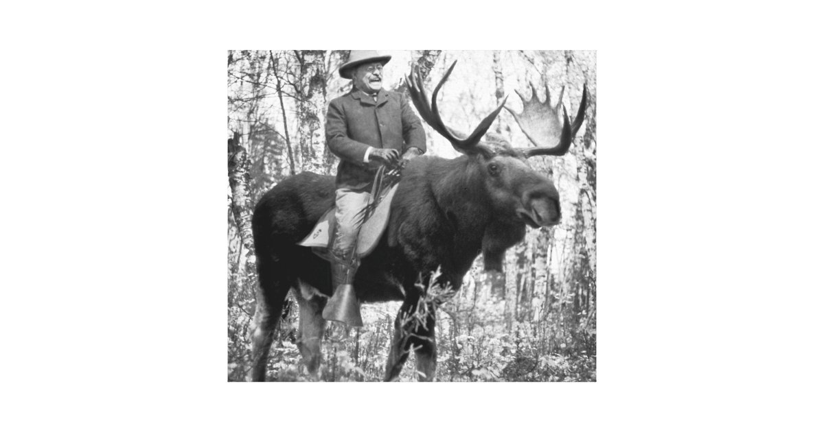 roosevelt riding a moose
