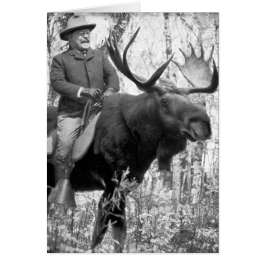 Teddy Roosevelt Riding A Bull Moose Cards (Front)