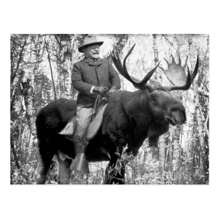 theodore roosevelt on moose