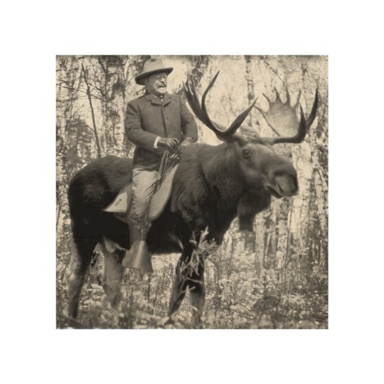 roosevelt riding a moose