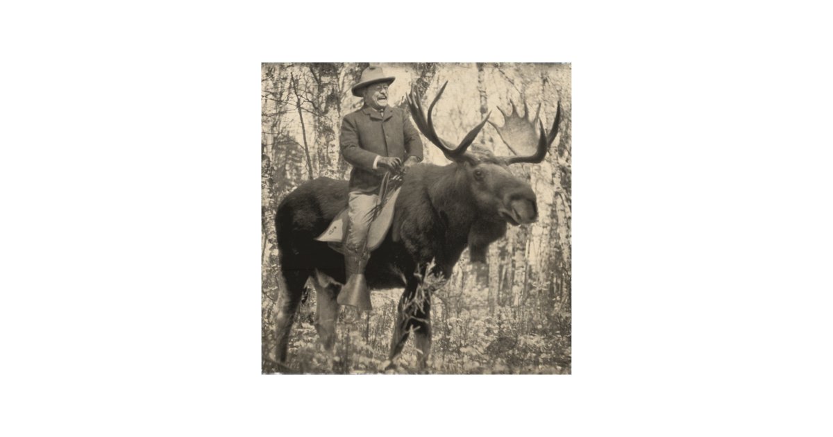 Teddy Roosevelt Riding A Bull Moose Wood Wall Art | Zazzle.com
