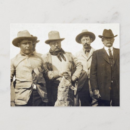 Teddy Roosevelt Wolf Hunting 1905 Postcard
