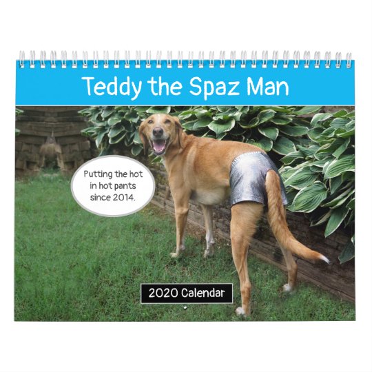 Teddy the Spaz Man Funny Dog Calendar