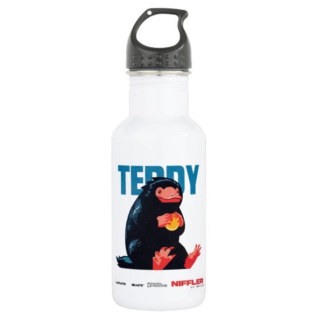 Teddy Vintage Graphic Stainless Steel Water Bottle (Front)