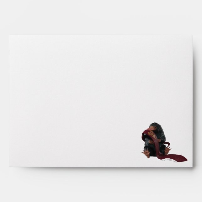 Teddy With Tie Graphic Envelope (Front)