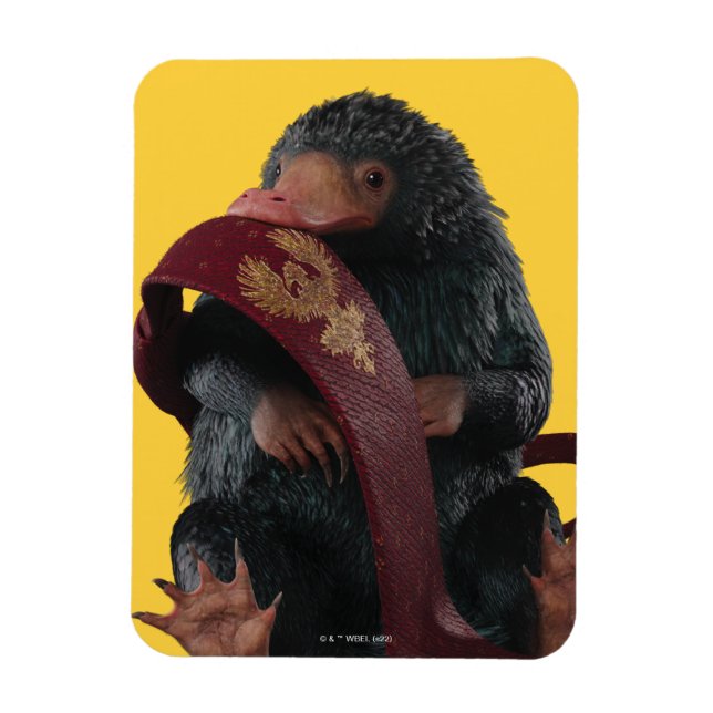 Teddy With Tie Graphic Magnet (Vertical)