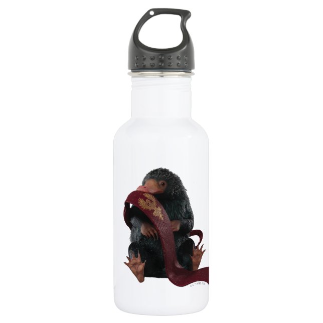 Teddy With Tie Graphic Stainless Steel Water Bottle (Front)