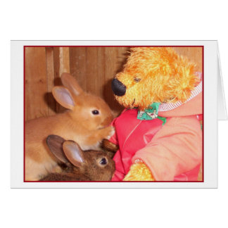 teddybears love little baby rabbits cards