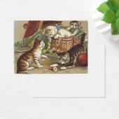 TEE Curious Cat (Desk)