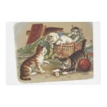 Tee Curious Cat Placemat at Zazzle
