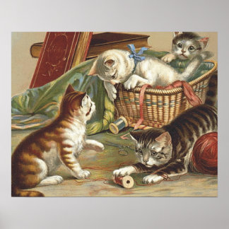 TEE Curious Cat Poster
