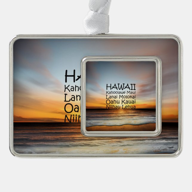 TEE Hawaii Christmas Ornament (Front)