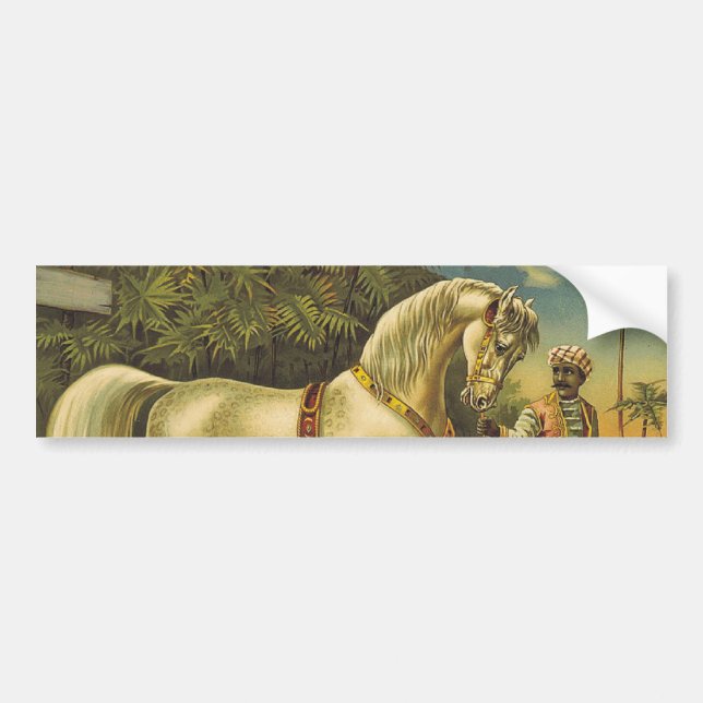 TEE Horse Royalty Bumper Sticker (Front)