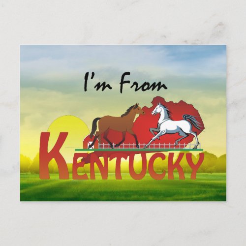 TEE Im From Kentucky Postcard