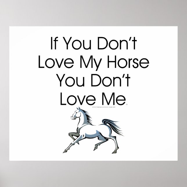 TEE Love My Horse Poster (Front)